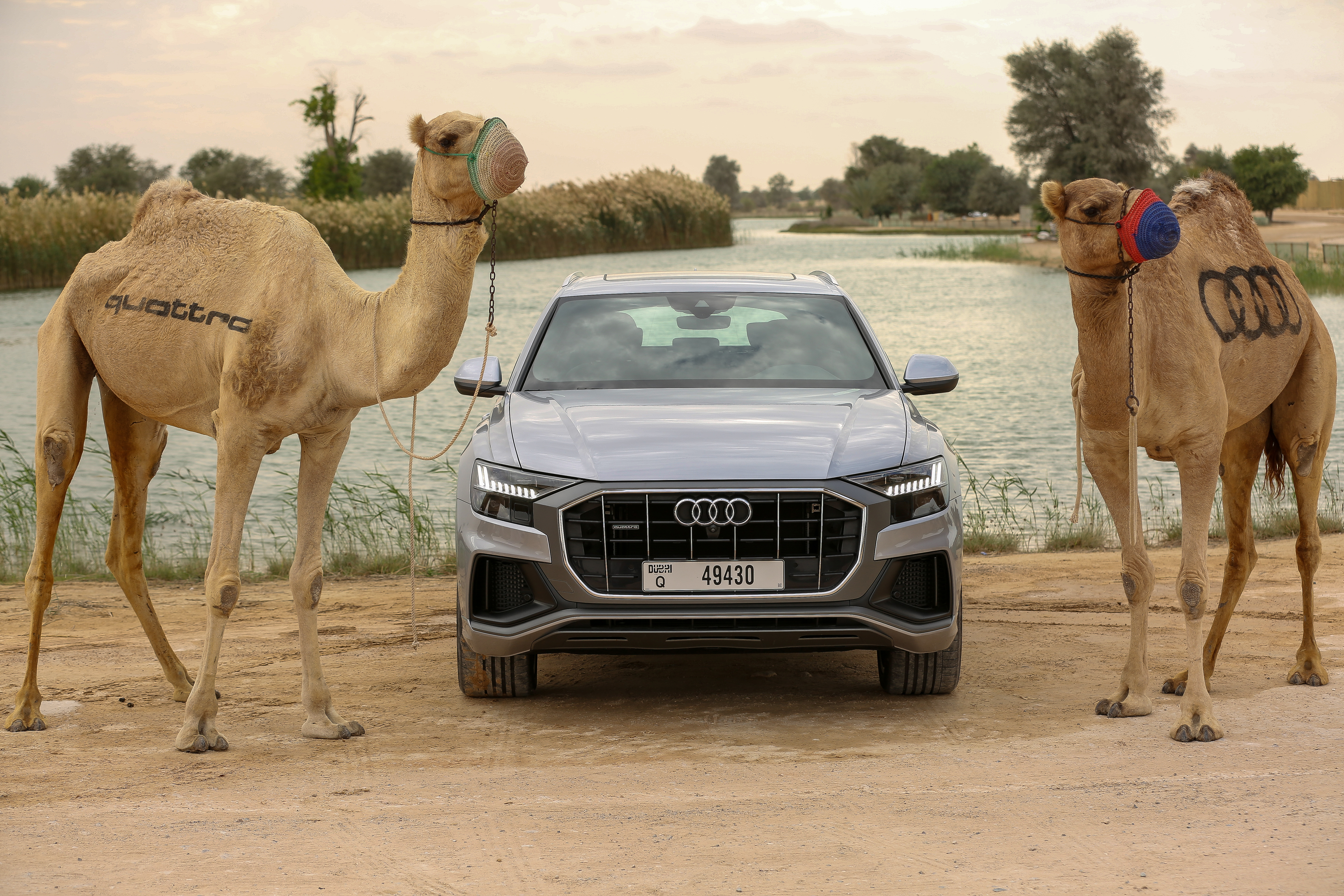 Audi Q8 First drive review