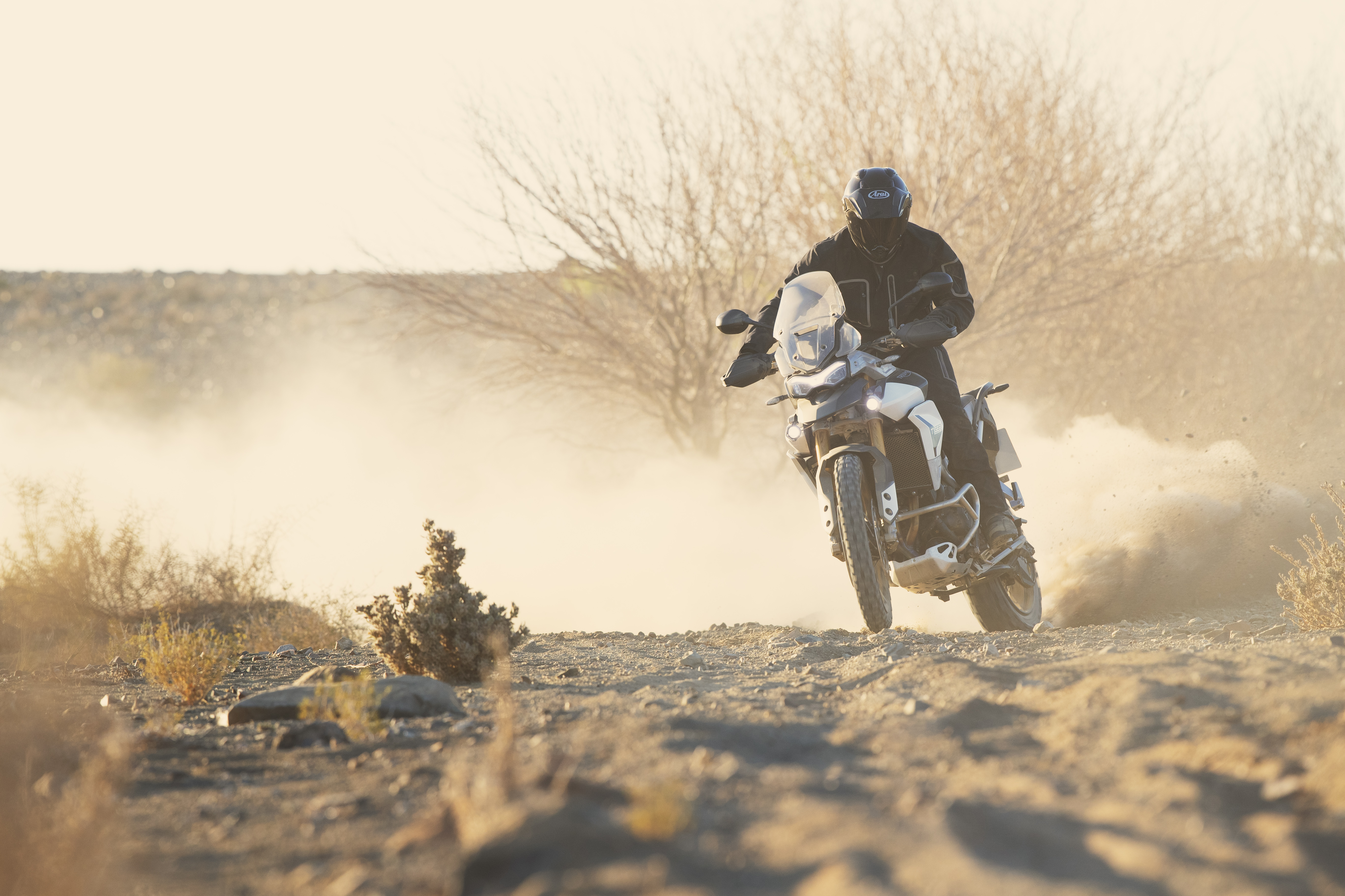 Triumph to launch five models in India this year Triumph to launch five models in India this year
