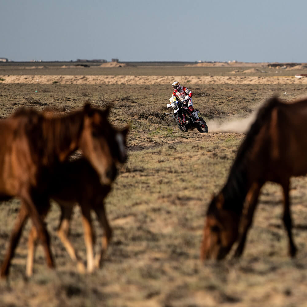 J-Rod wins Stage 5 of Rally Kazakhstan for Hero MotoSports Team Rally J-Rod wins Stage 5 of Rally Kazakhstan for Hero MotoSports Team Rally