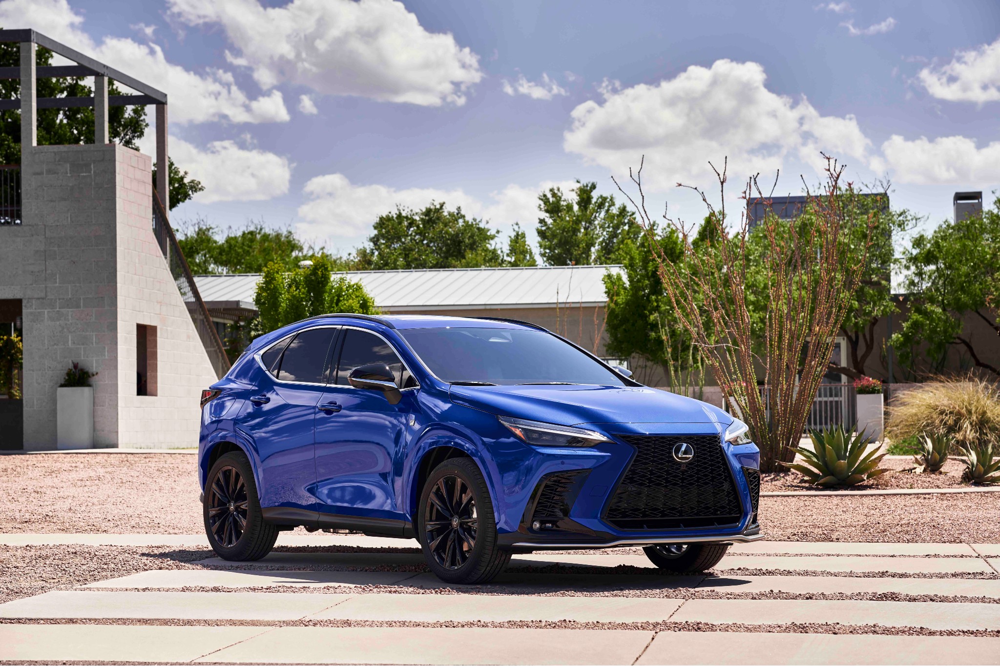 Lexus unveils the new NX 2022 Lexus unveils the new NX 2022