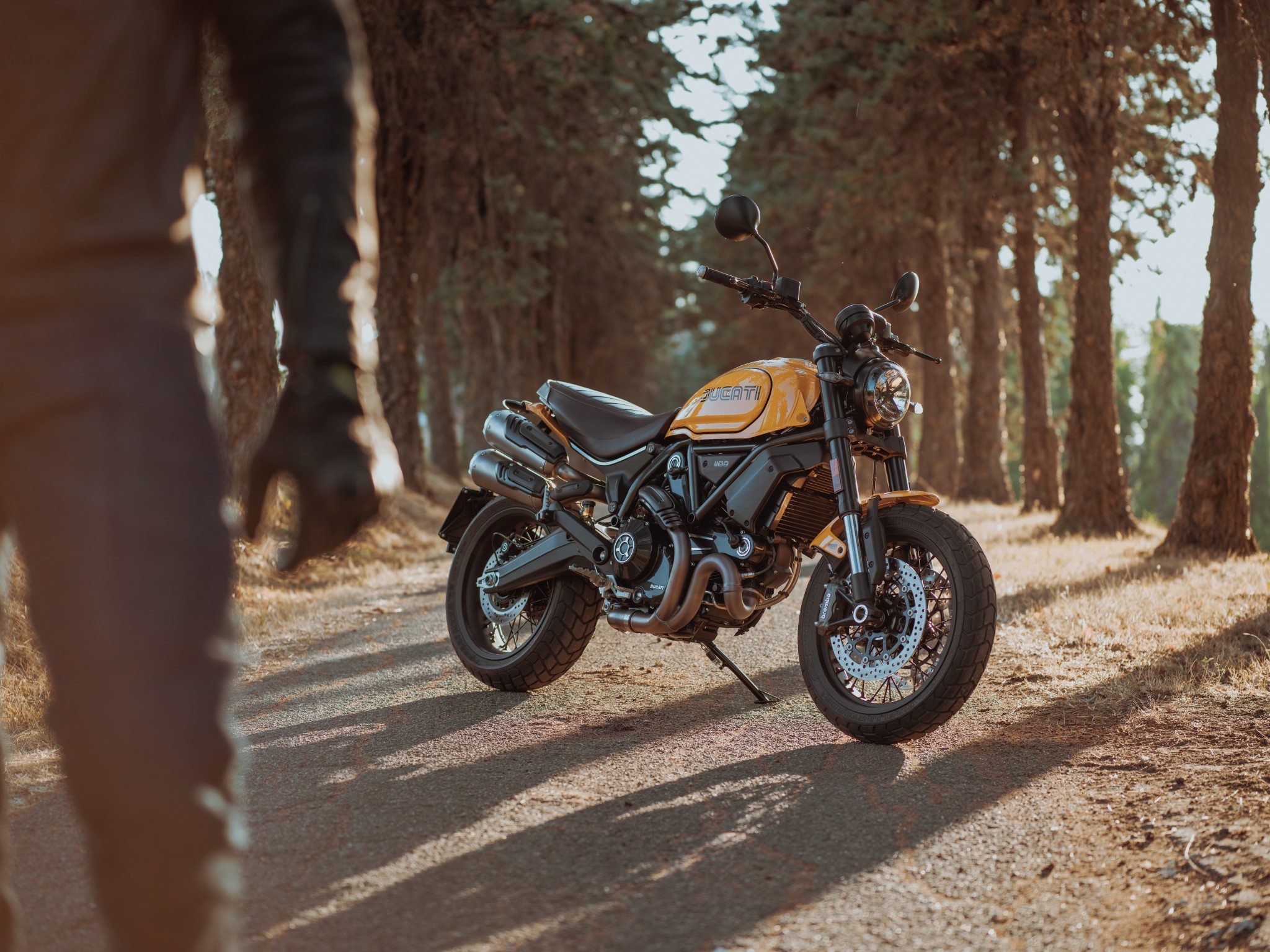 Ducati Scrambler 1100 Tribute Pro launched at Rs 12.99 lakh Ducati Scrambler 1100 Tribute Pro launched at Rs 12.99 lakh