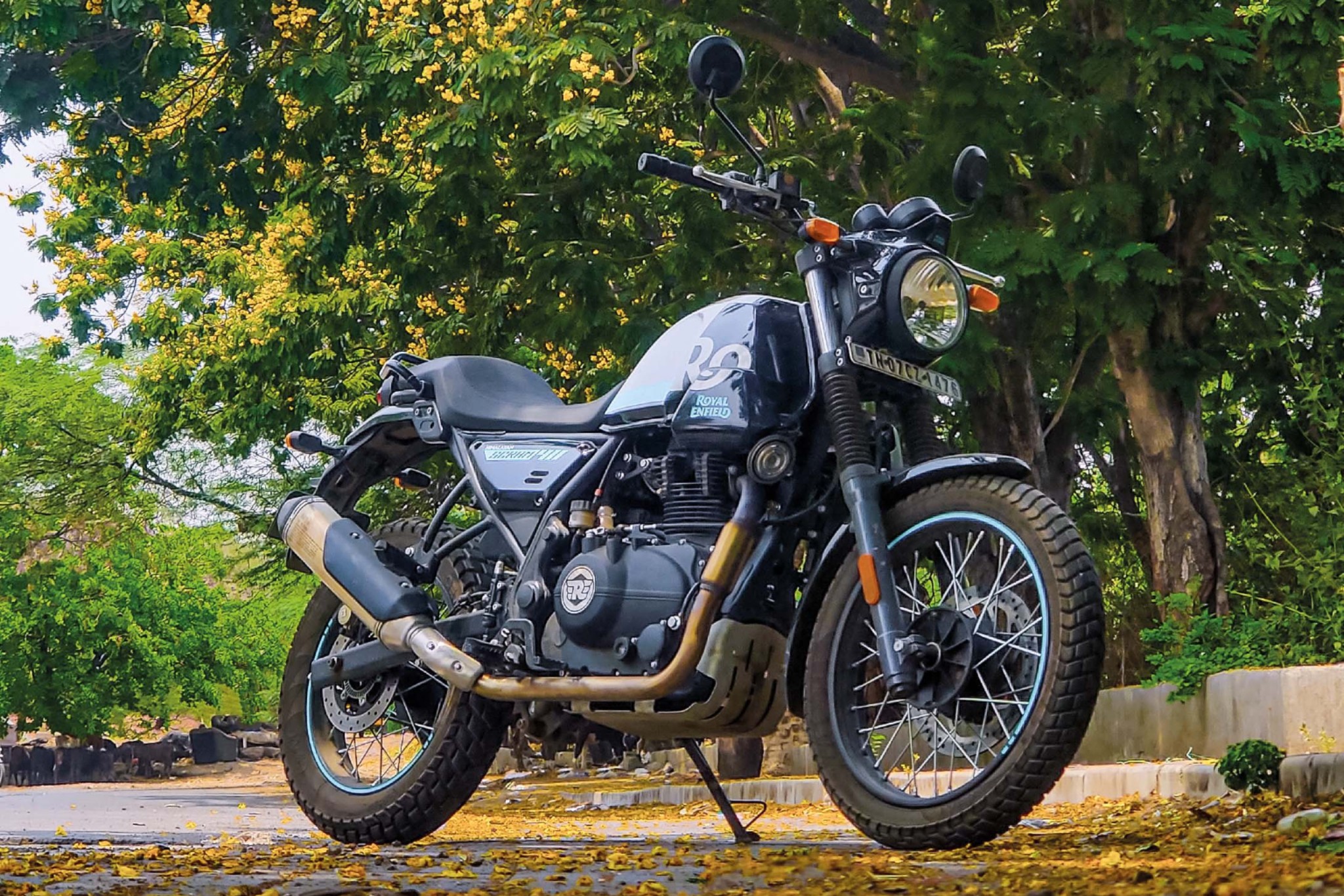 Royal Enfield Scram 411 |First long term report | evo India Royal Enfield Scram 411 |First long term report | evo India