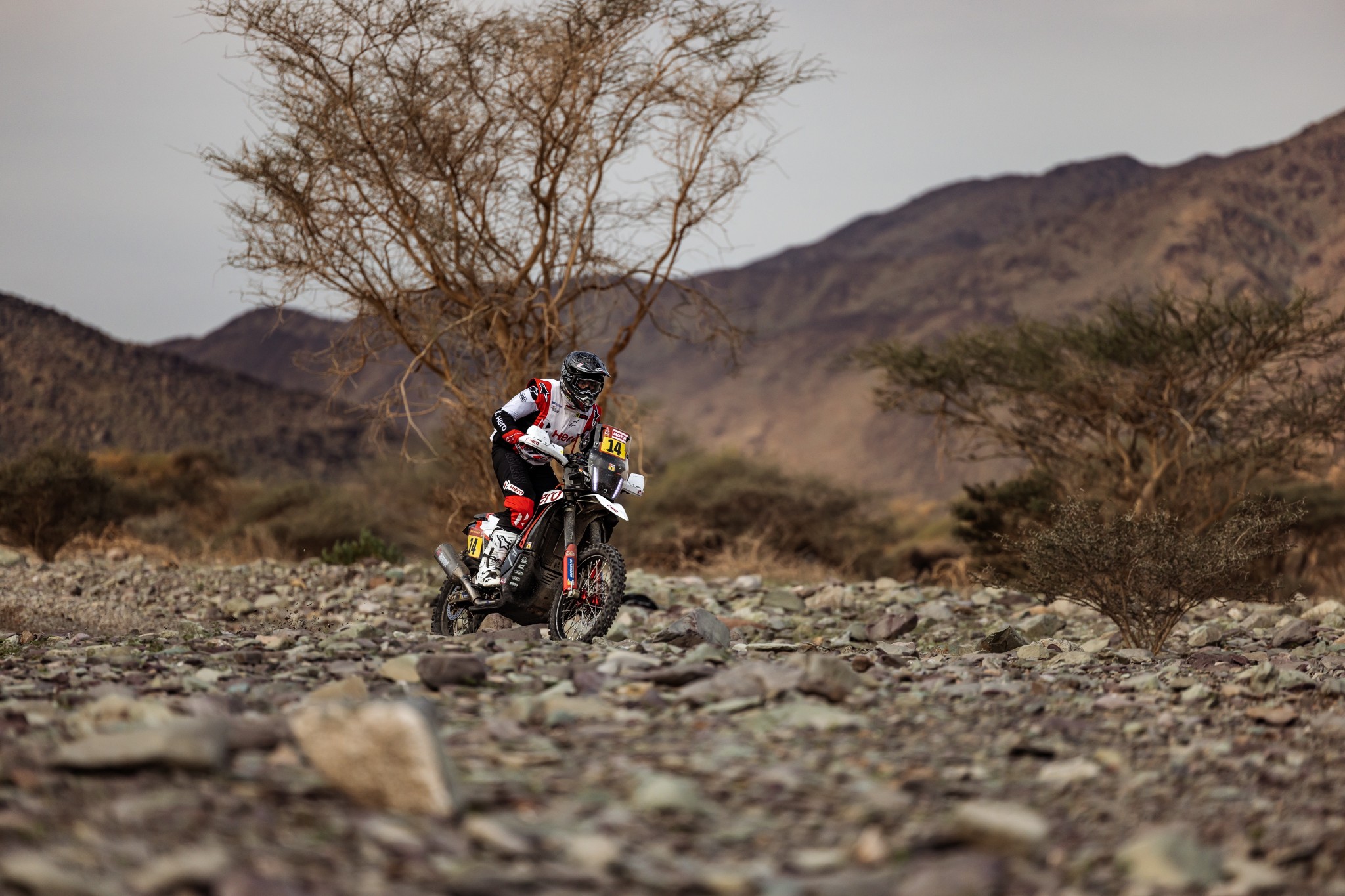 Dakar Rally 2023: Hero MotoSport Team Rally on podium in Stage 2 Dakar Rally 2023: Hero MotoSport Team Rally on podium in Stage 2