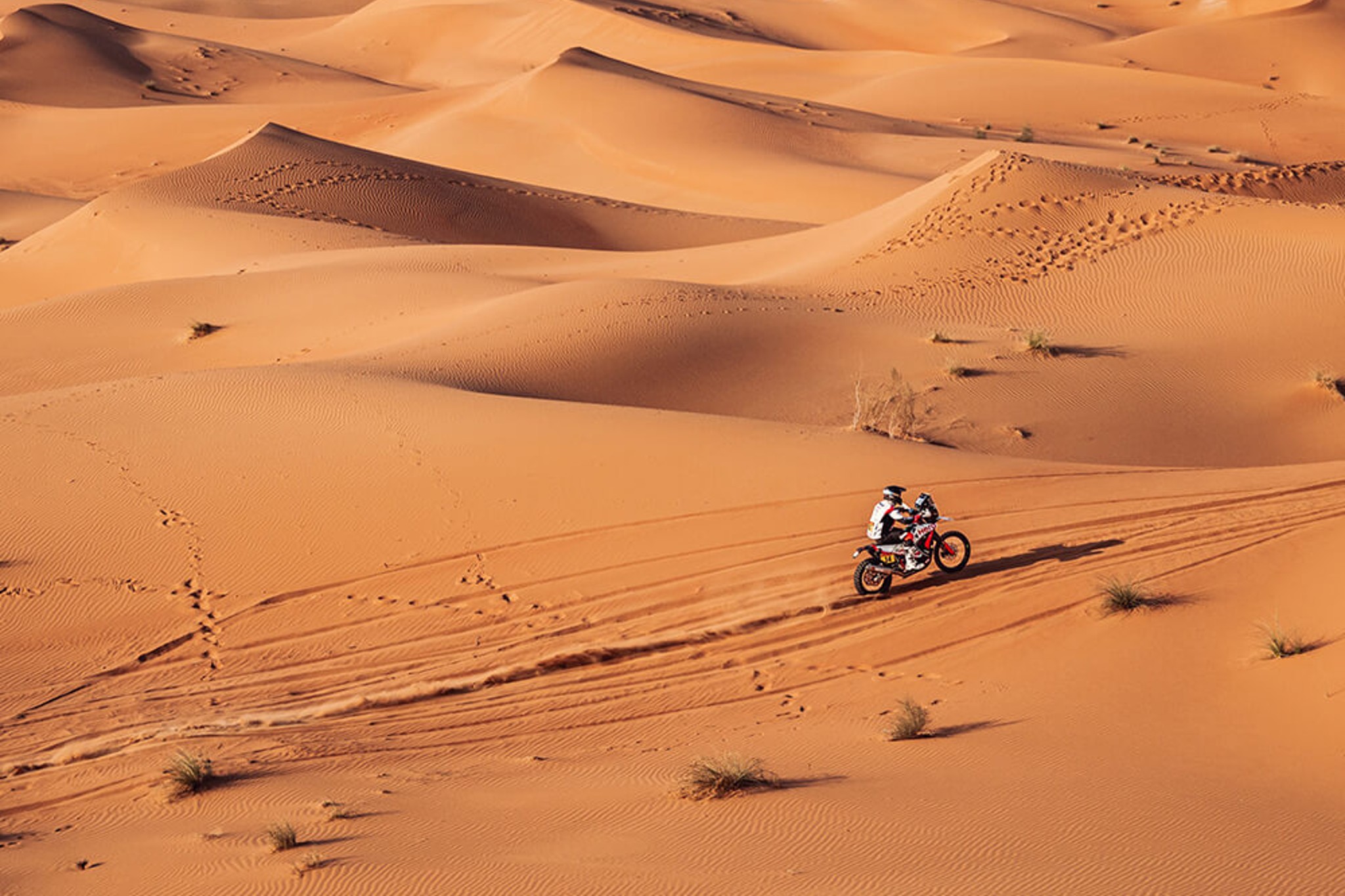 Dakar Rally 2023: Hero MotoSports Team Rally Stage 11 update Dakar Rally 2023: Hero MotoSports Team Rally Stage 11 update