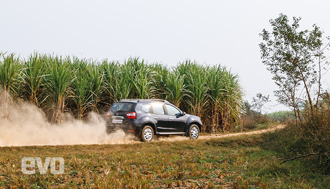 Greener pastures: Terrano Food trails