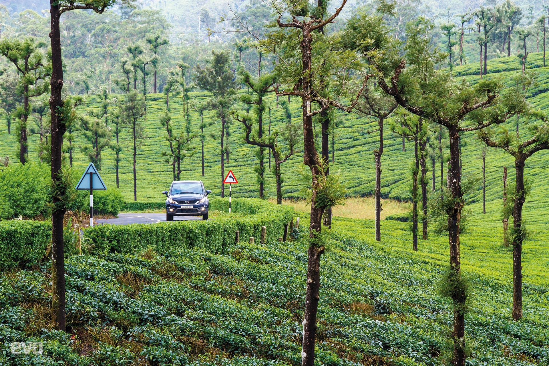 Heaven on Earth: Hexa roadtrip to Valparai