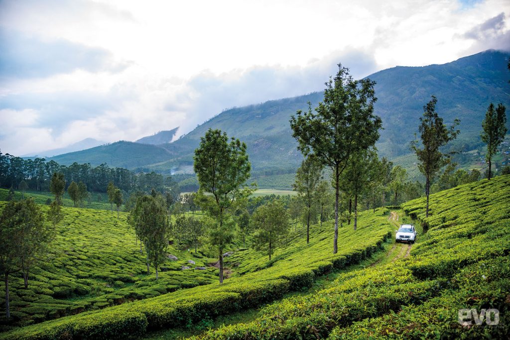 Getting High with the Duster: Driving to the highest tea estate in the world Getting High with the Duster: Driving to the highest tea estate in the world