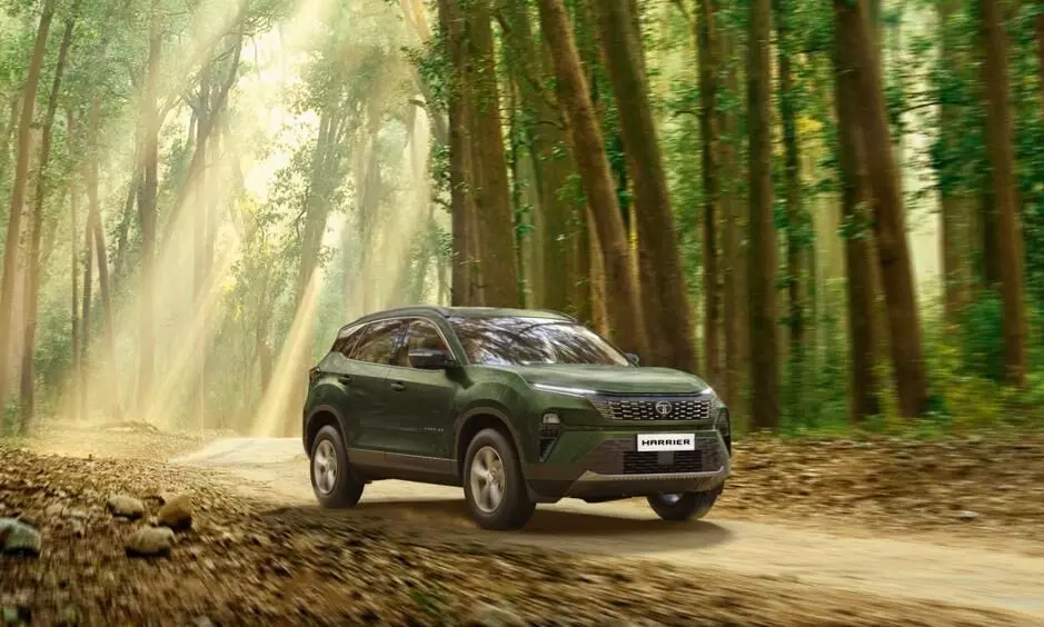 With the Harrier Adventure X, Tata Motors has introduced a seaweed green colour scheme With the Harrier Adventure X, Tata Motors has introduced a seaweed green colour scheme