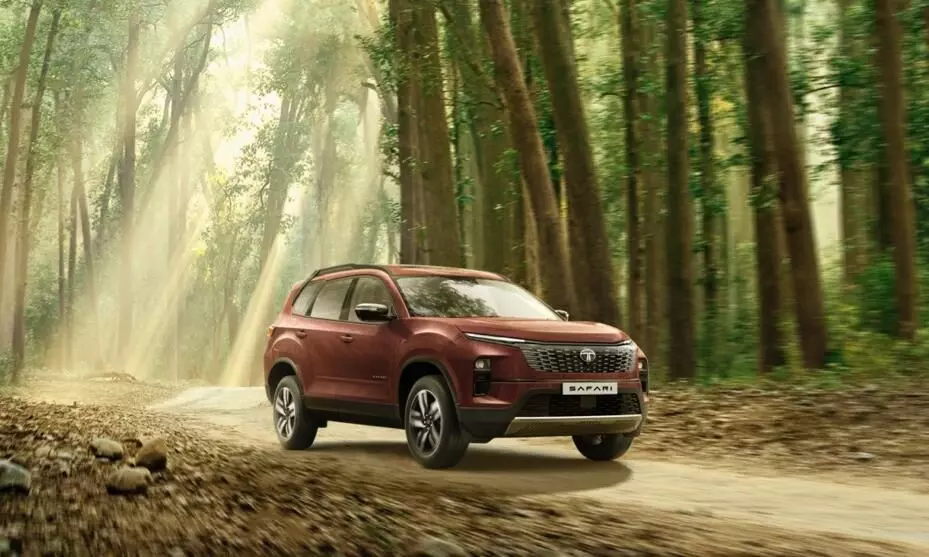 The Safari Adventure X+ comes with a new supernova copper colour and 18-inch alloy wheels The Safari Adventure X+ comes with a new supernova copper colour and 18-inch alloy wheels