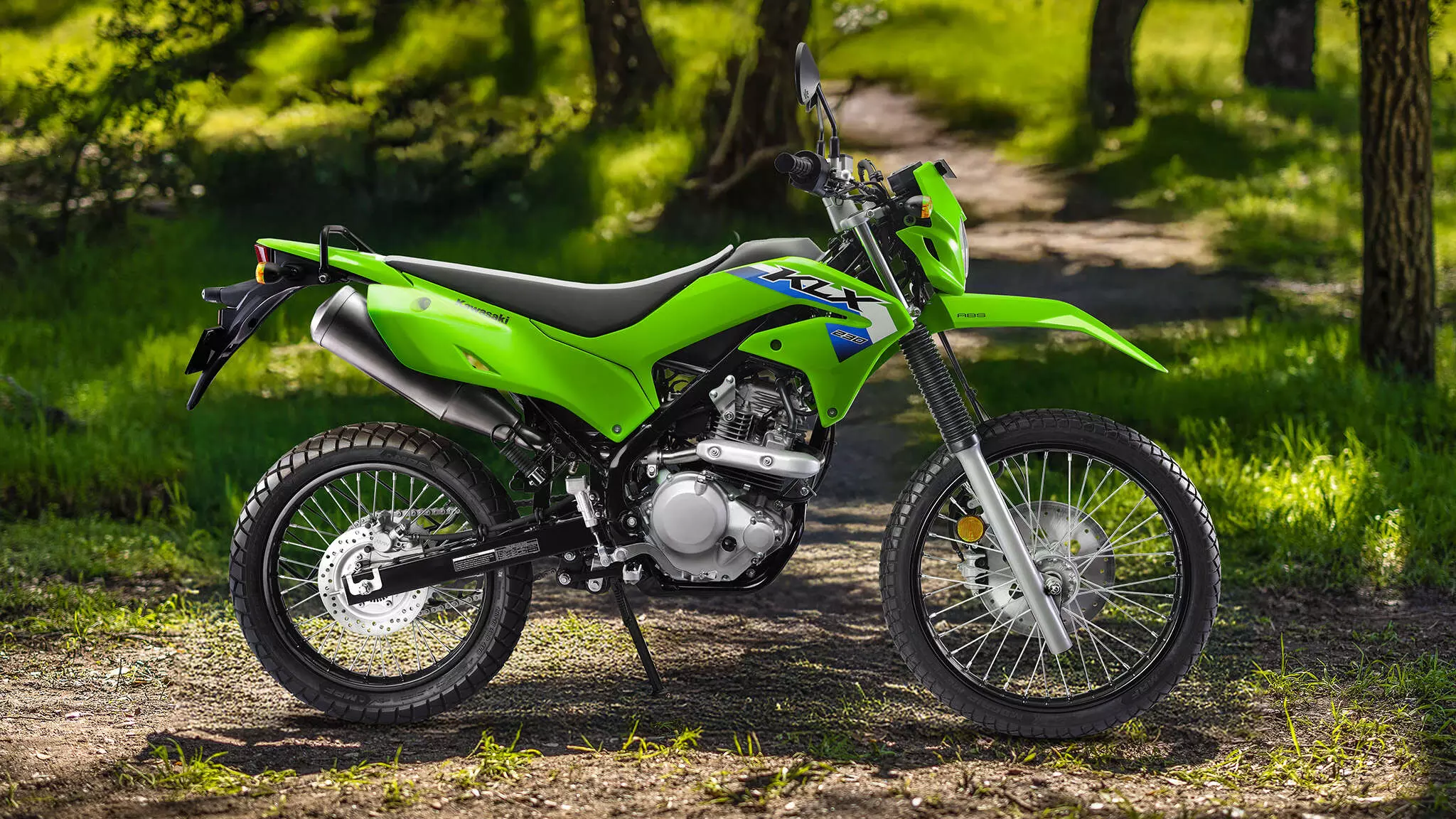 The made-in-India KLX230 is slightly more powerful and makes 18.7bhp at 7800rpm and 19Nm at 6200rpm.