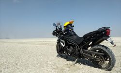 Triumph kicks off second edition of Tiger Trails from Jaipur Triumph kicks off second edition of Tiger Trails from Jaipur