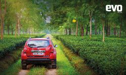 Getting high with the Renault Duster: To the north eastern tea estates Getting high with the Renault Duster: To the north eastern tea estates