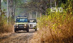Mahindra Thar vs Force Gurkha: Which one of the duo offers best of both worlds?